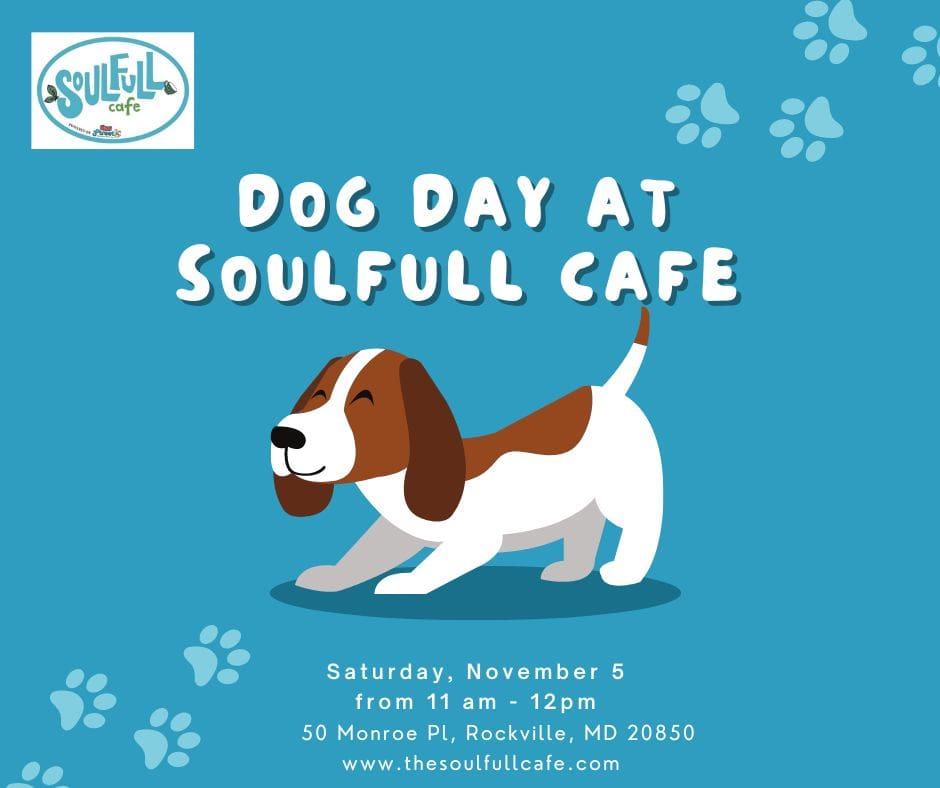 Dog Day at The Soulfull Cafe