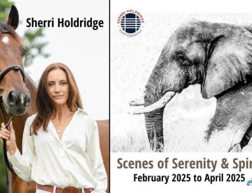 Sherri Holdridge (February – April 2025)