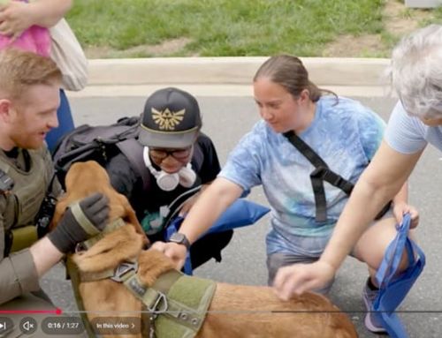 Neighborhood Health and Safety Day